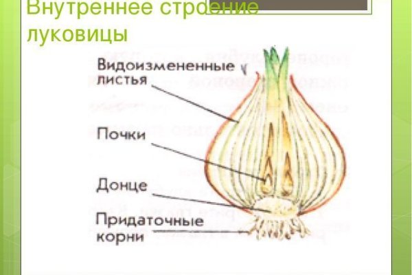 Кракен сайт ссылка на кракен onion